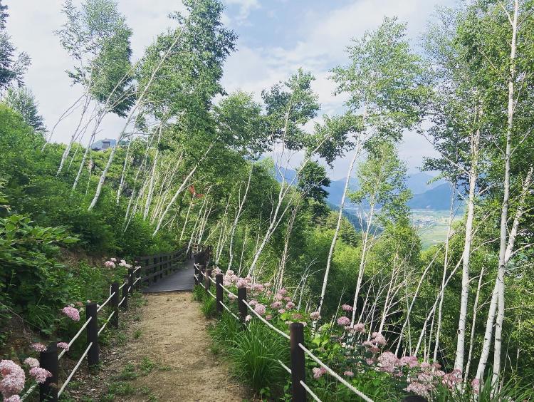 정선 가볼만한곳 아이랑, 여름방학에 꼭 가야 할 가족 여행지 베스트 6!