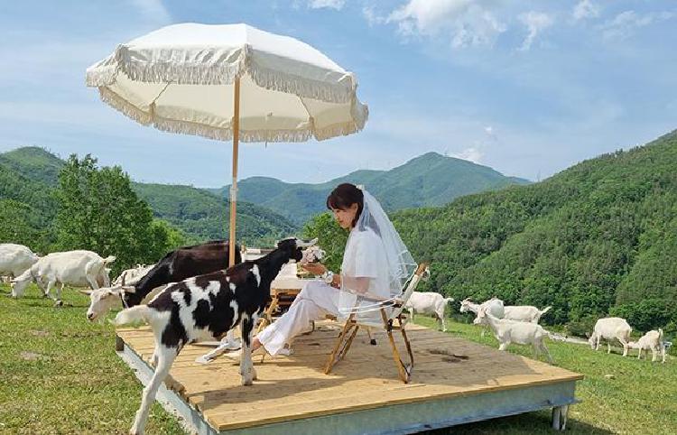 태백 가볼만한곳 아기랑, 엄마 아빠도 반한 힐링 명소 대공개! 이건 몰랐죠?