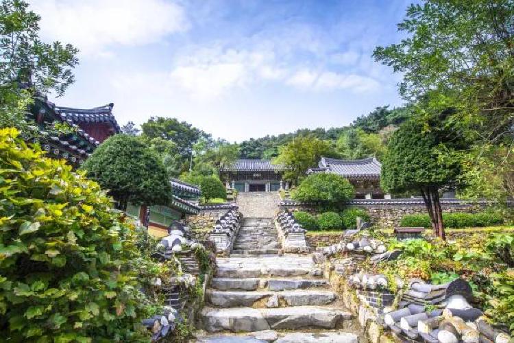 울산 가볼만한곳 절, 벚꽃 명소부터 힐링 산사까지! 여기가 진짜 숨은 보물