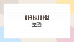 아카시아청 보관, 실온 OK? 3개월 뒤 충격 진실