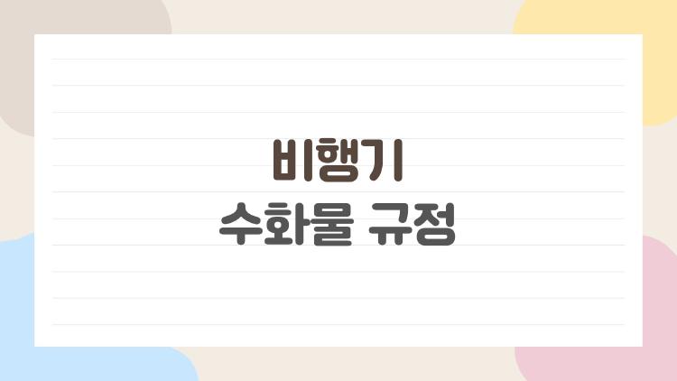 비행기 수화물 규정