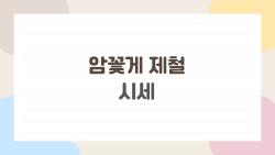 암꽃게 제철 시세, 올해 5만원대 폭락 비밀