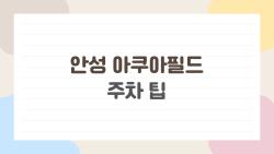 안성 아쿠아필드 주차 팁, 주말엔 이곳에 주차해야 입장까지 5분이다