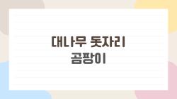 대나무 돗자리 곰팡이, 버리기 직전 살려낸 충격 비법