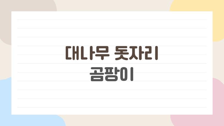 대나무 돗자리 곰팡이, 버리기 직전 살려낸 충격 비법