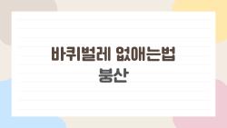 바퀴벌레 없애는법 붕산, 붕산만으로 끝나는 게 아니라 알고 쓰면 정말 빠르게 사라진다