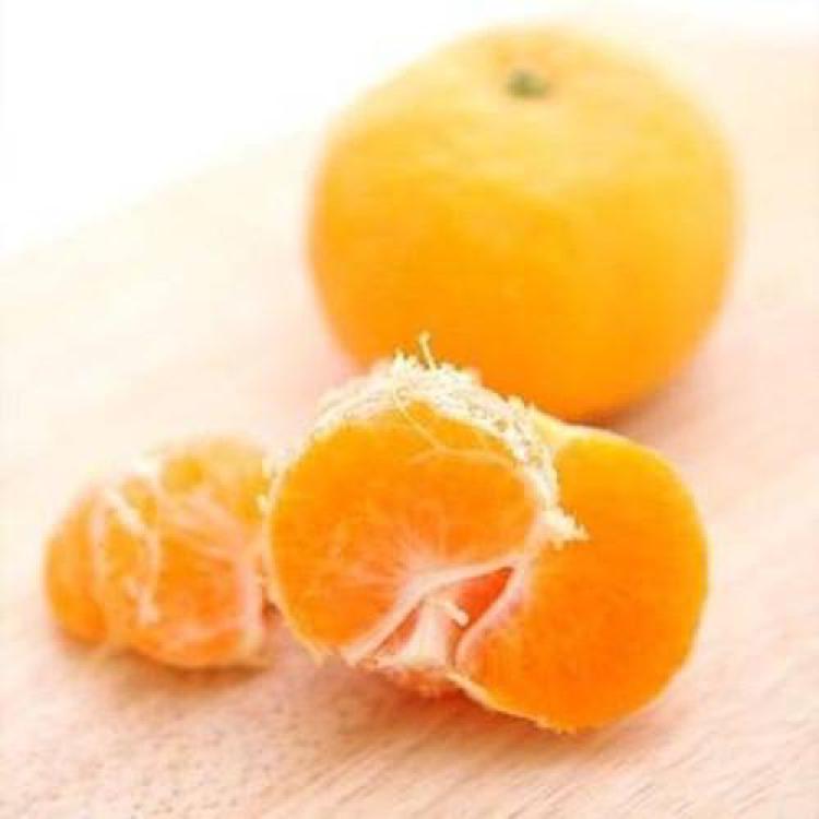 비가림귤 시기, 이제 사기 딱 좋은데 왜 다들 놓치나요?