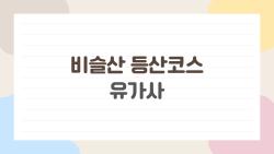 비슬산 등산코스 유가사, 초보도 4시간 완주한 비밀 루트 공개