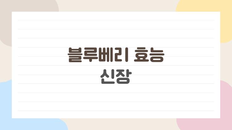 블루베리 효능 신장