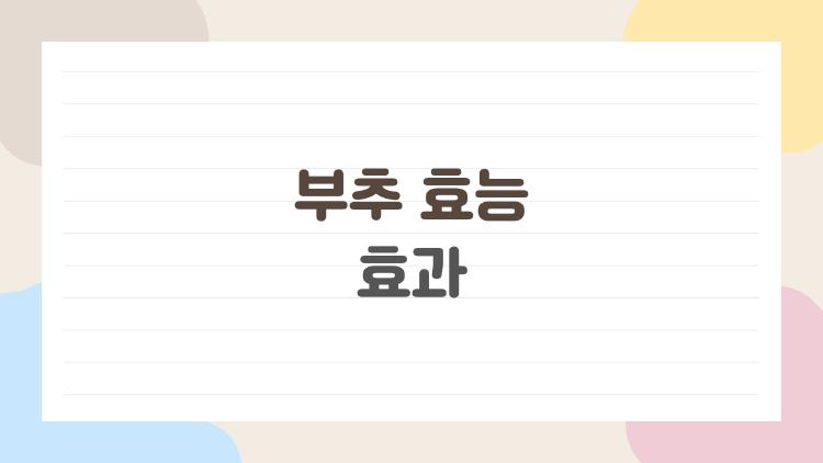 부추 효능 효과