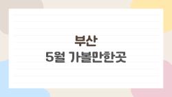 부산 5월 가볼만한곳, 축제와 핫플로 꽉 찬 완벽 일정