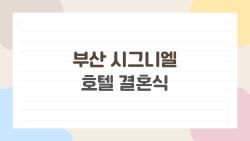 부산 시그니엘 호텔 결혼식, 2026년 최신 후기만 모아봤다