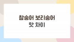 참숭어 보리숭어 맛 차이, 겨울엔 이거 먹고 후회 zero?