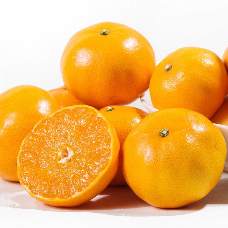 천혜향 효능, 감기 걸려본 적 없던 내가 왜 이렇게 건강해졌지?