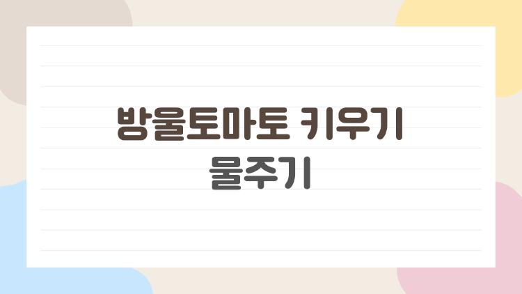 방울토마토 키우기 물주기, 매일 줘야 할까 생각보다 쉬운 정답