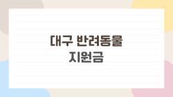 대구 반려동물 지원금, 올해 20만원 챙기는 비밀 방법