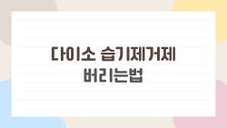 다이소 습기제거제 버리는법, 하수구 터뜨린 실수 대공개