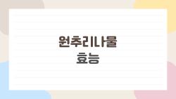 원추리나물 효능, 독성 먹어도 항암 효과 미쳤네?