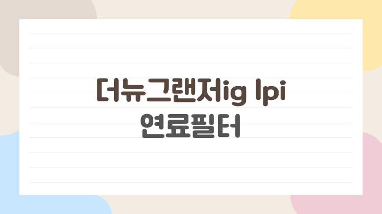 더뉴그랜저ig lpi 연료필터