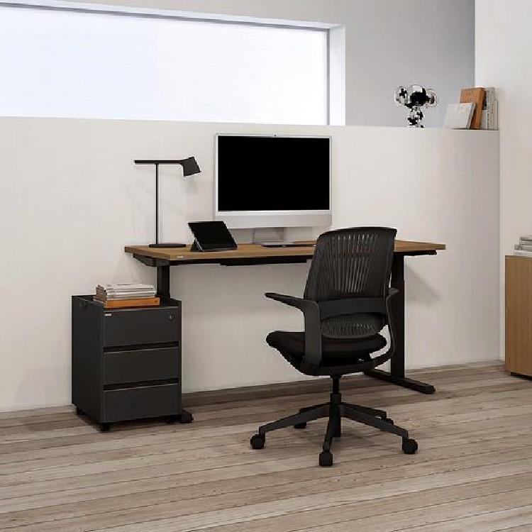 데스커 모션데스크 초기화, RST 에러 1분 만에 뚝딱!