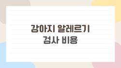 강아지 알레르기 검사 비용, 우리 강아지 닭고기 알레르기였어 충격