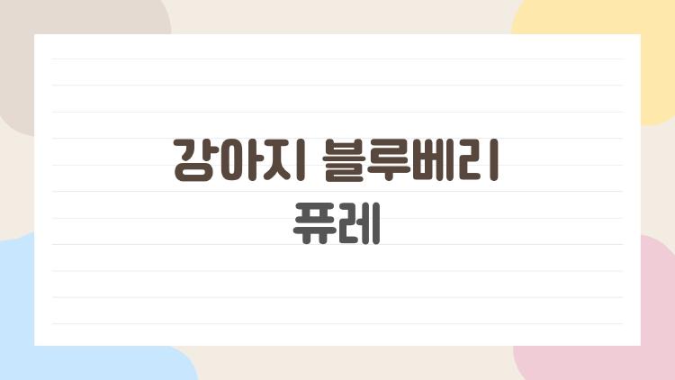 강아지 블루베리 퓨레