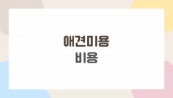 애견미용 비용 절반으로 줄이는 꿀팁, 2026년 핫 트렌드