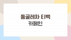 둥굴레차 티백 카페인 걱정 끝, 진실은