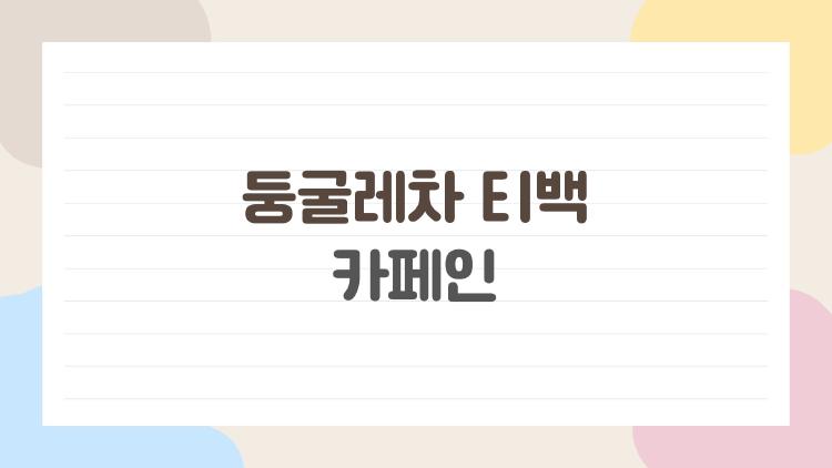 둥굴레차 티백 카페인