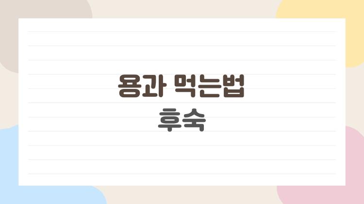 용과 먹는법 후숙