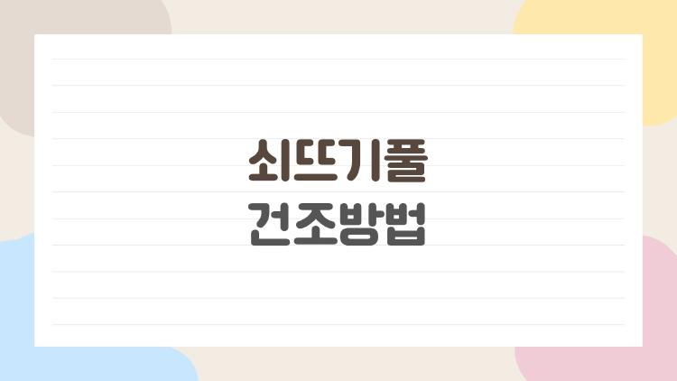 쇠뜨기풀 건조방법