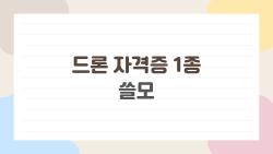 드론 자격증 1종 쓸모, 돈 되는지 쓸모 없는지 솔직한 분석
