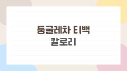 둥굴레차 티백 칼로리 거의 제로, 물 대신 마시고 3kg 뺀 비법