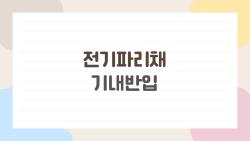 전기파리채 기내반입, 공항서 뺏길 뻔한 충격 실화