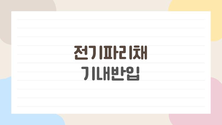 전기파리채 기내반입