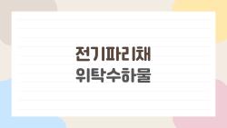 전기파리채 위탁수하물, 공항에서 버릴 뻔한 충격 진실