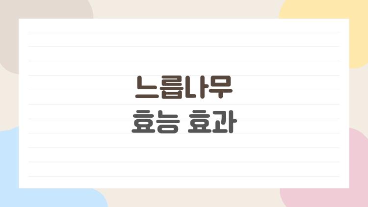 느릅나무 효능 효과