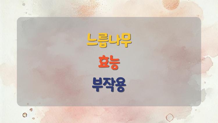 느릅나무 효능 및 부작용