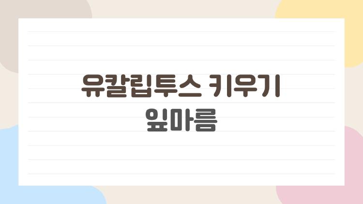 유칼립투스 키우기 잎마름