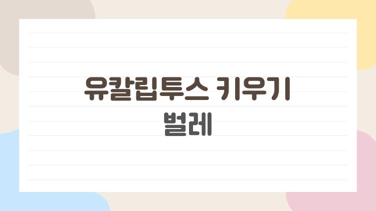 유칼립투스 키우기 벌레 왜 자꾸 생길까, 초보가 제일 많이 놓치는 진짜 이유