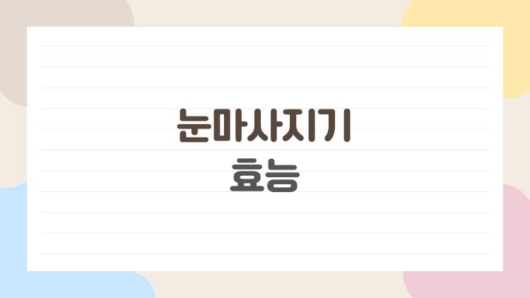 눈마사지기 효능