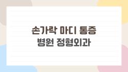 손가락 마디 통증 병원 정형외과, 파스만 붙이고 참으면 나중에 후회하는 진짜 이유