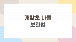 개망초 나물 보관법, 묵나물로 일년 내내 먹는 비밀