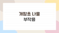 개망초 나물 부작용, 먹다가 탈난 사람들 후기 충격