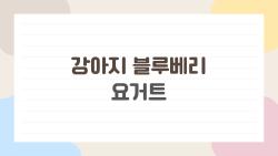 강아지 블루베리 요거트, 집에서 해봐도 되나요?
