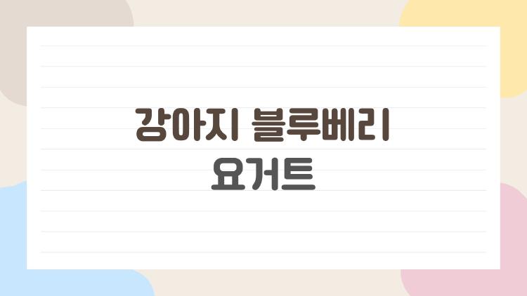 강아지 블루베리 요거트, 집에서 해봐도 되나요?