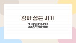 감자 심는 시기 깊이방법, 이 봄에 놓치면 후회할 결정 포인트