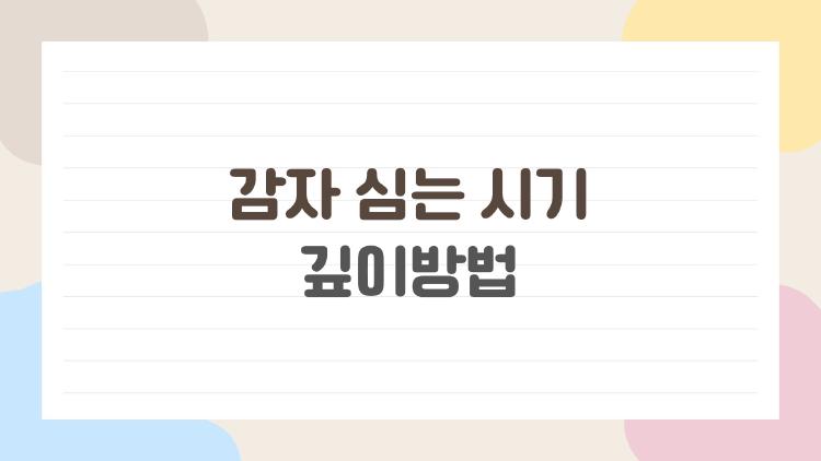 감자 심는 시기 깊이방법, 이 봄에 놓치면 후회할 결정 포인트