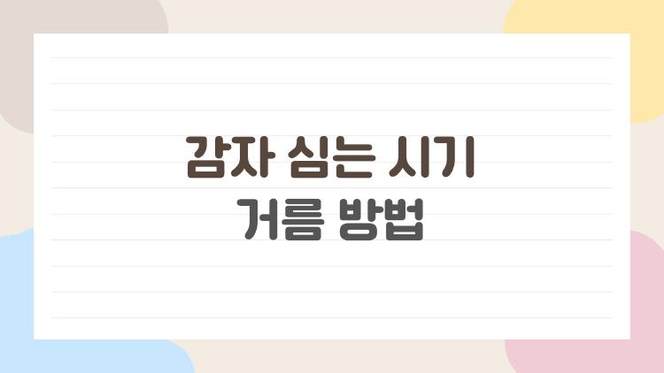 감자 심는 시기와 거름 방법, 이것만 알고 있으면 봄 감자가 확실히 잘 됩니다