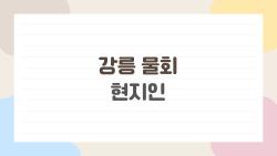 강릉 물회 현지인, 택시기사도 극찬한 그 한 그릇